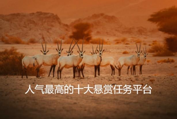 人气最高的十大悬赏任务平台（建议收藏） 第1张