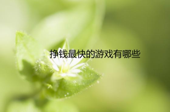 挣钱最快的游戏有哪些？在这几个平台有大量赚钱游戏