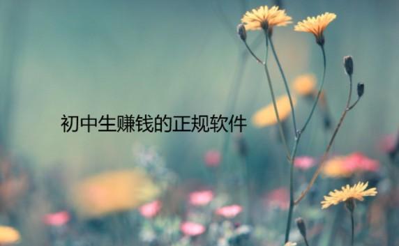 初中生赚钱的正规软件，这几个赚钱软件都比较合适